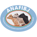 ANAFIBJ